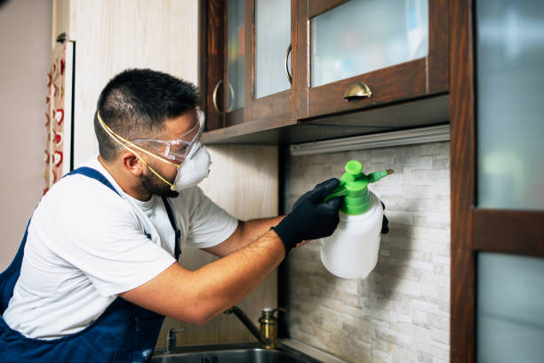 Best Termite Control Services  in Hampden Sydney, VA