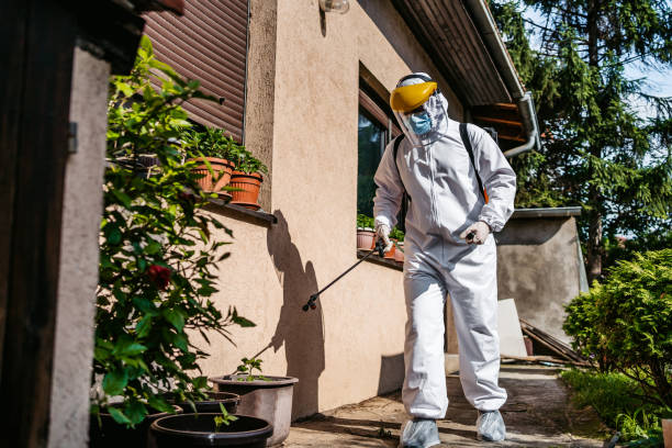 Best Pest Control Treatment  in Hampden Sydney, VA