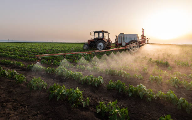 Best Mosquito Control Services  in Hampden Sydney, VA