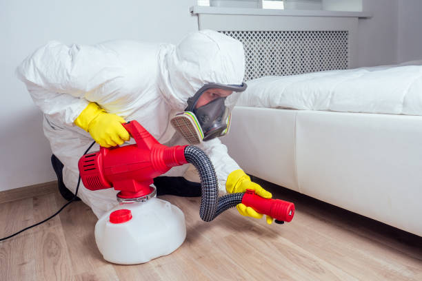 Best Affordable Pest Control Services  in Hampden Sydney, VA