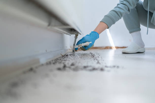 Best Exterminator Services  in Hampden Sydney, VA