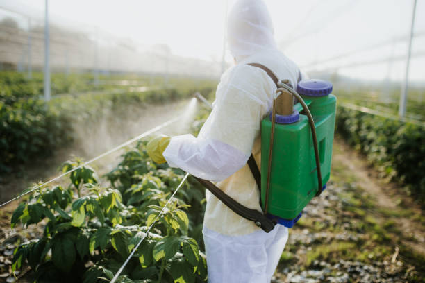  Hampden Sydney, VA Pest Control Pros